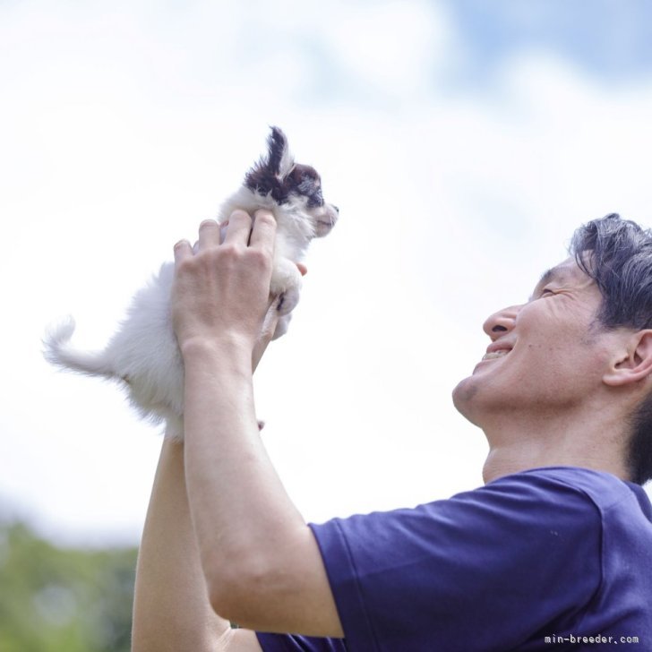 白井宏哉ブリーダー
