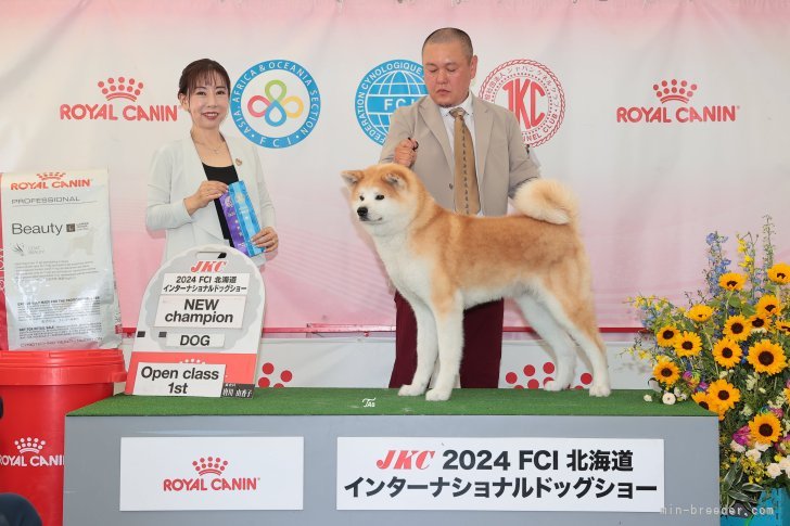 秋田犬【・女の子・2021年7月18日・赤】