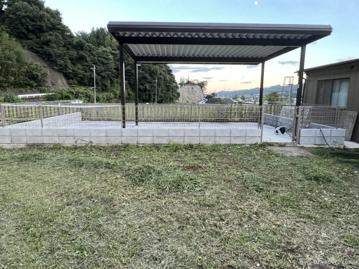 運動場ができました。｜西山　康雄(にしやま　やすお)ブリーダー(群馬県・チワワ(ロング)など・JKC登録)の紹介写真4