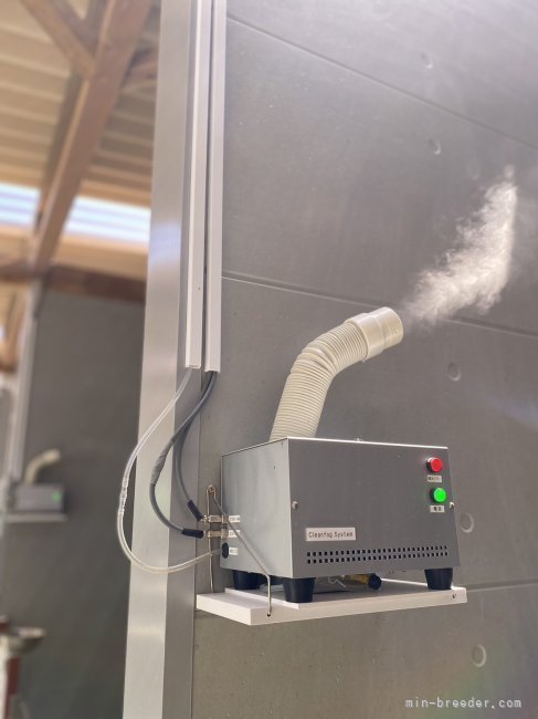 土澤　弓貴(つちざわ　ゆみたか)ブリーダー(茨城県・ポメラニアンなど・JKC/KC登録)の紹介写真5