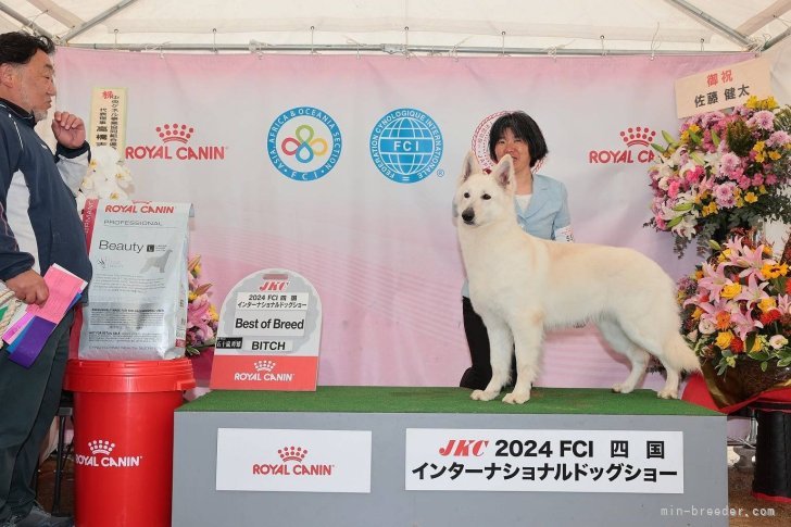 唐来　美樹生(とうらい　みきお)ブリーダー(鳥取県・ホワイト・スイス・シェパード・ドッグなど・JKC登録)の紹介写真2