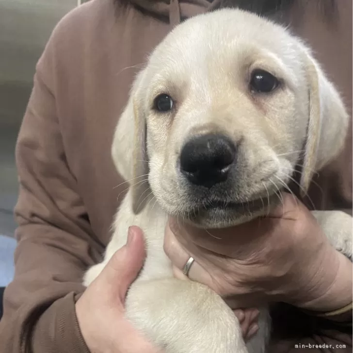 E.S 様のお迎えした子犬