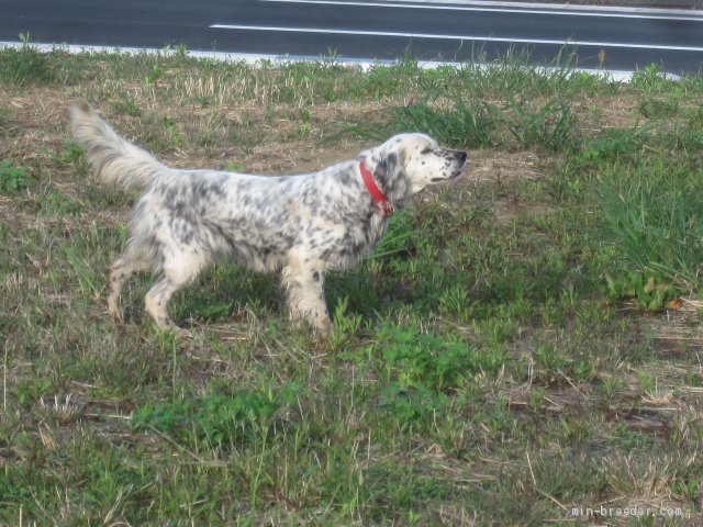 栗原渉留ブリーダー