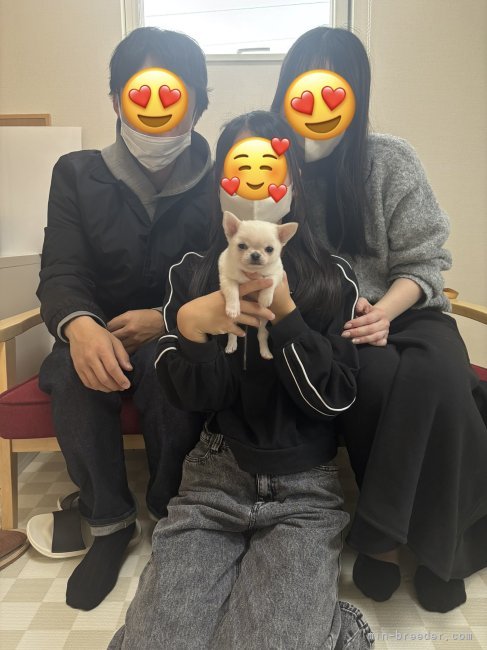米田麻衣子ブリーダーのブログ：ご家族様決まりました😊