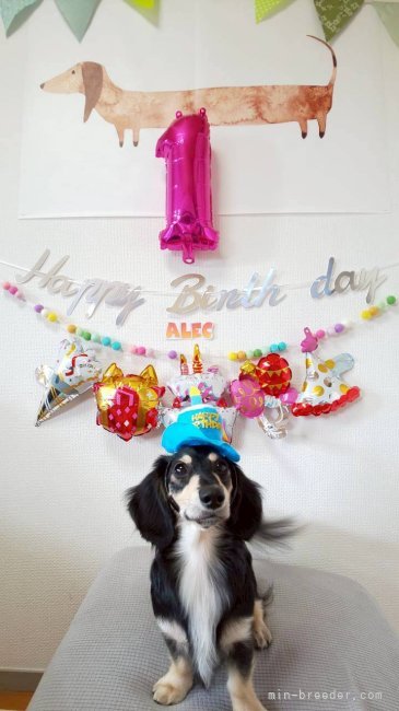 田村佐知子ブリーダーのブログ：🎂お誕生日おめでとう💝