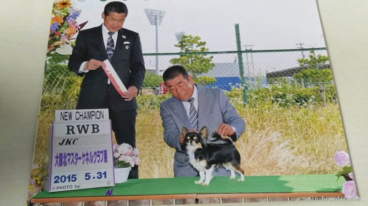岩崎誠ブリーダー