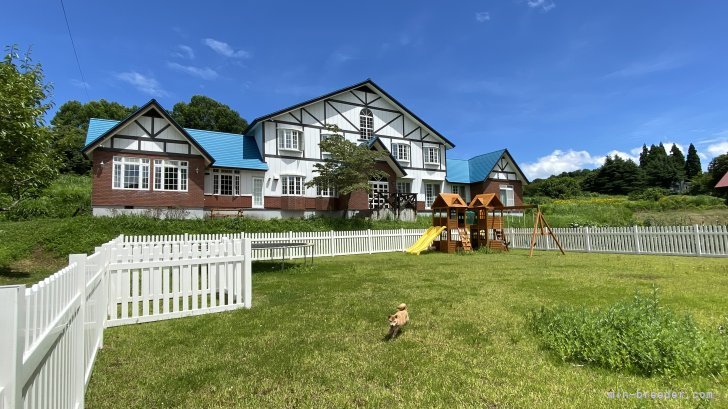 岡橋　儀並(おかはし　のりへい)ブリーダー(兵庫県・ポメラニアンなど・JKC/KCジャパン登録)の紹介写真1