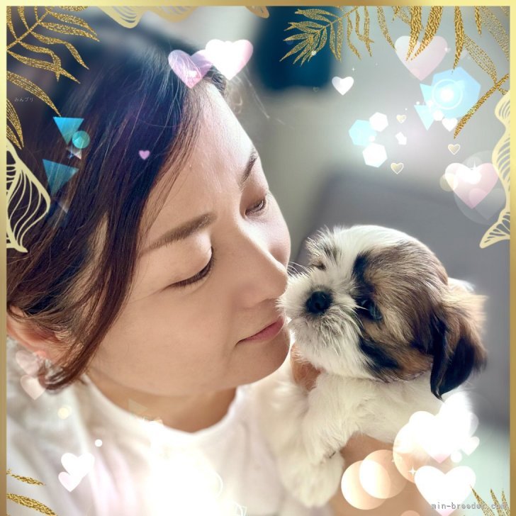 山手裕子ブリーダー