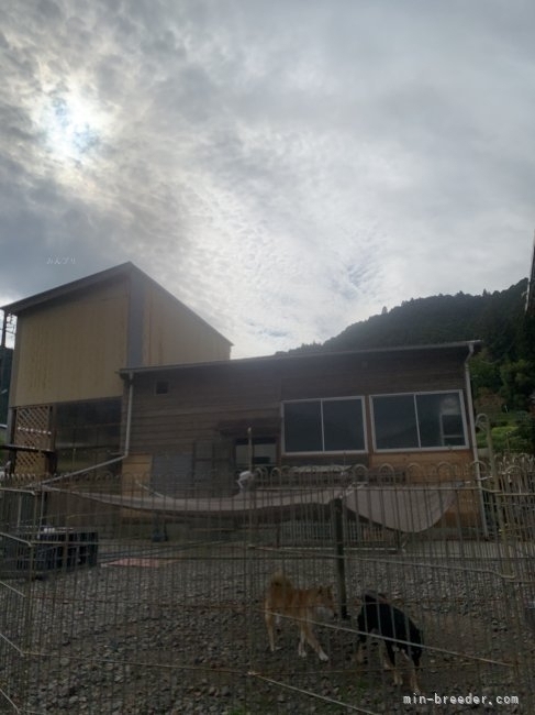 高橋由直ブリーダー