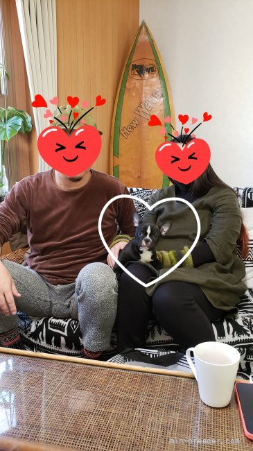秋吉恵美子ブリーダーのブログ：手編みのセーター😍