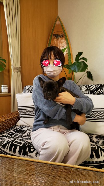秋吉恵美子ブリーダーのブログ：巣立ちの日🎶