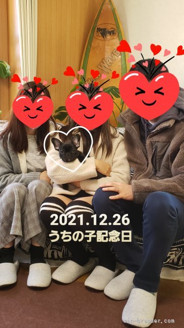 秋吉恵美子ブリーダーのブログ：😄🎶