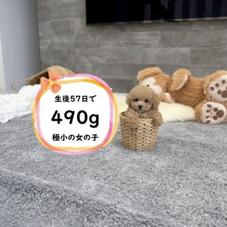 ブリーダー画像