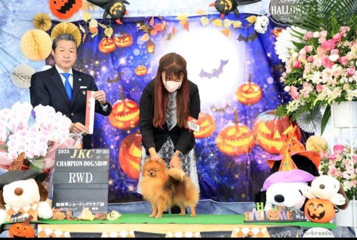 リザーブウィナーズ獲得★