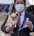 チワワ(ロング)【三重県・男の子・2020年11月26日・フォーンセーブル】の写真4「お父さんのMAX」