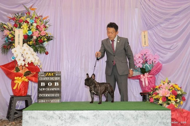 チャンピオン完成です。