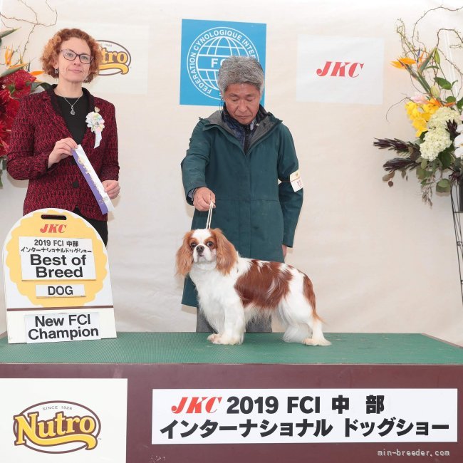 椛山由美ブリーダー