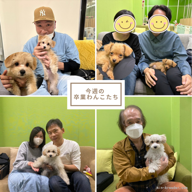 朝比奈杏奈ブリーダーのブログ：家族が決まりました🐶💕