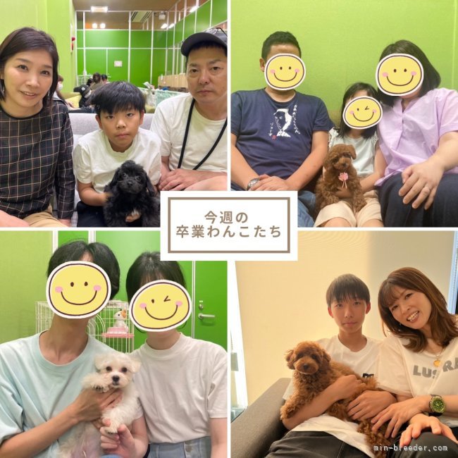 朝比奈杏奈ブリーダーのブログ：家族が決まりました🐶💕