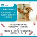ビションプー(ビションフリーゼ×トイプードル)【神奈川県・女の子・2025年3月28日・クリーム】の写真14「💉全頭健康診断実施済み💉毎週専属の獣医師がワンちゃんの体調チェックをしています」