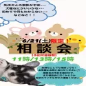 チワワ(ロング)【東京都・男の子・2025年4月7日・クリーム&ホワイト】の写真2「今年5月の相談会の好評につき📅6/21(土)子犬お迎え相談会を開催🌈お問合せお待ちしております♬」