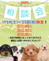 トイプードル(トイ)【東京都・男の子・2025年3月22日・レッド】の写真2「📣ワンちゃん選びに迷っている・不安がある方、ご相談くださいませ✨お問合せお待ちしております♪」