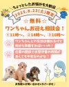 マルプープー(トイプードル×マルプー)【東京都・女の子・2025年5月16日・アプリコット】の写真2「無料のワンちゃんお迎え相談会を 📅2025年8月23日(土)限定で開催いたします🍍」