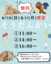 トイプードル(トイ)【東京都・男の子・2025年3月29日・レッド】の写真2「無料のワンちゃんお迎え相談会を 📅2025年8月10日(日)と11日(月・祝)に開催いたします🌻」
