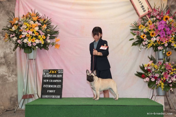 ハンドラー、ジュニアハンドラー。　チャンピオン犬在中｜寺家　彩香(てらいえ　あやか)ブリーダー(福岡県・フレンチブルドッグなど・JKC登録)の紹介写真6