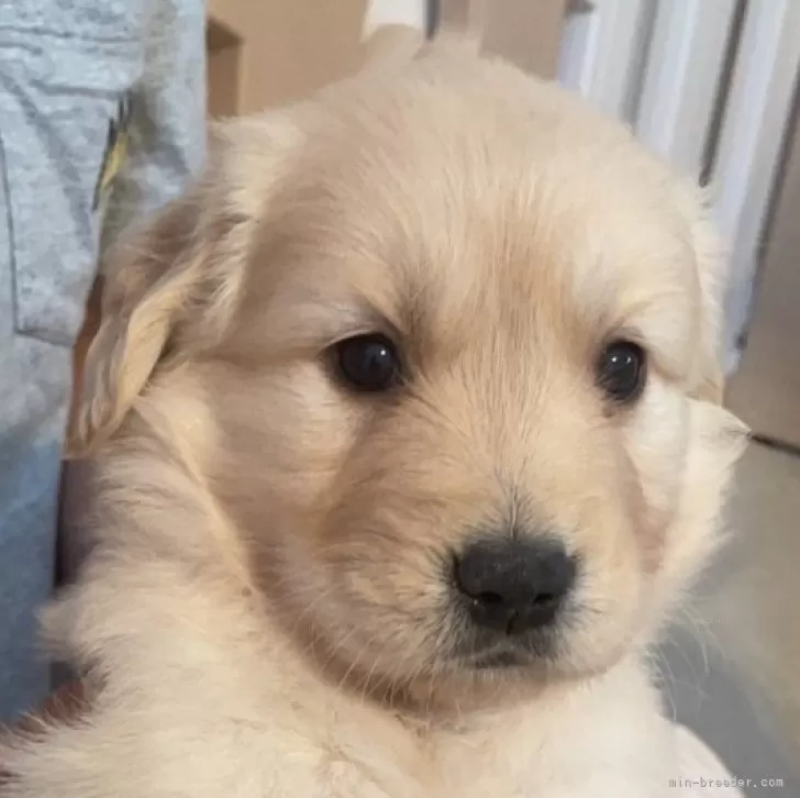C.U 様のお迎えした子犬