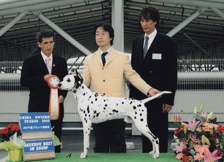 藤田瑞朗ブリーダー