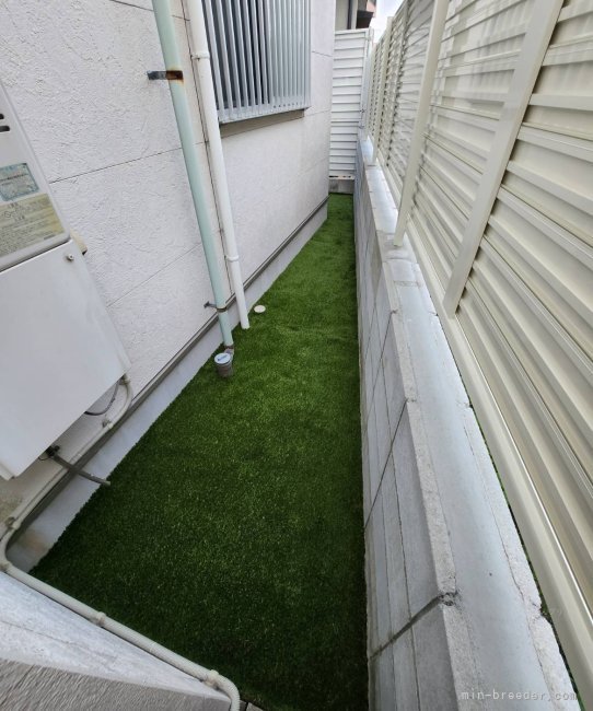 角地の為広くはないですが、庭をドッグランにしています♪①｜木田　悠介(きだ　ゆうすけ)ブリーダー(大阪府・ペキニーズなど・JKC登録)の紹介写真2