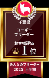 王君ブリーダーのブログ：ありがとうございます