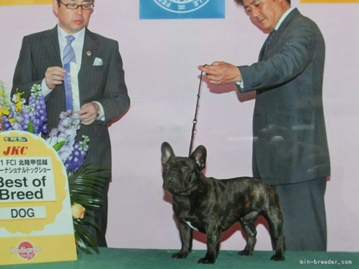 黒井正美ブリーダー