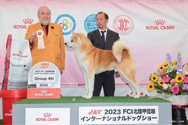 秋田犬【・男の子・2021年8月9日・赤】
