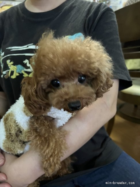 お目目がまん丸😍