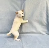 豆柴【奈良県・女の子・2023年10月3日・白】の写真3