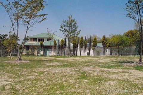 ドッグラン｜信貴　健二(しぎ　けんじ)ブリーダー(兵庫県・シェットランドシープドッグなど・JCC登録)の紹介写真2