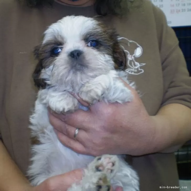 K.S 様のお迎えした子犬