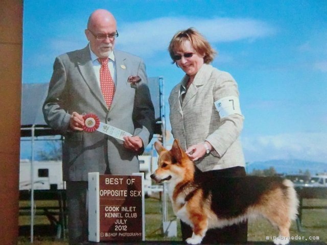 瀬谷美紀ブリーダー