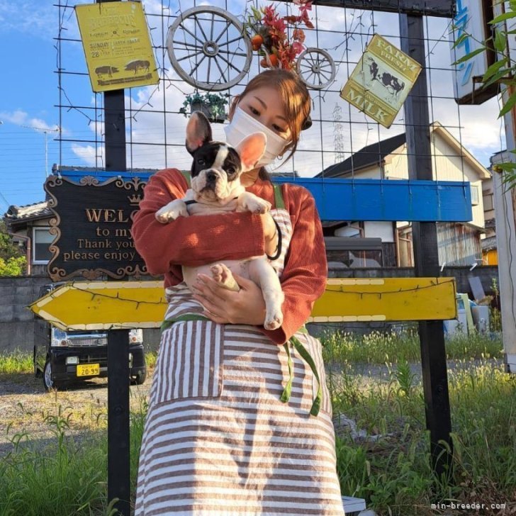 金森勝敏ブリーダー