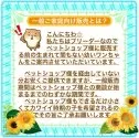 マルチーズ【大阪府・女の子・2025年7月20日・ホワイト《フワフワの綿アメのような艶やかな白♡》】の写真12「このお🉐なセール中に、ぜひ、ご家族様でご見学にお越し下さい。スタッフ一同お待ちいたしております」