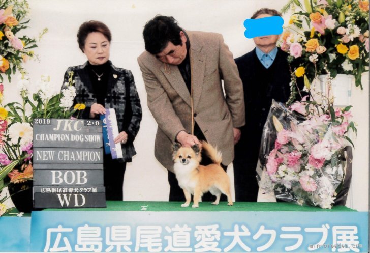 祖父江早余子ブリーダー