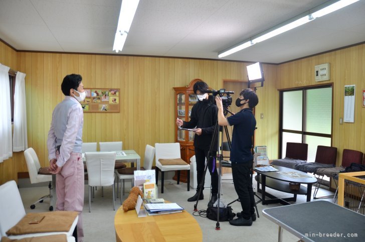 テレビ大阪の取材　犬界の法律規制強化について｜井上　正樹(いのうえ　まさき)ブリーダー(三重県・バセットハウンドなど・JKC登録)の紹介写真7