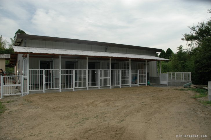 犬舎とドッグラン｜井上　正樹(いのうえ　まさき)ブリーダー(三重県・バセットハウンドなど・JKC登録)の紹介写真9