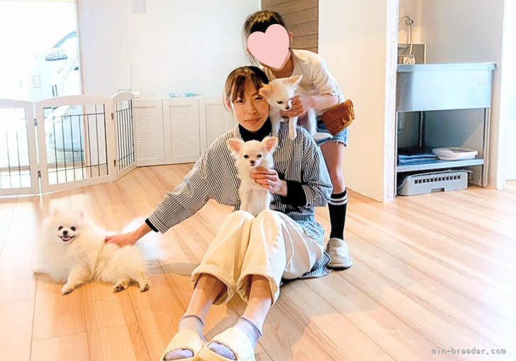 家族みんなで育てる愛情たぷりの犬舎です♡｜浦田　大樹(うらた　ひろき)ブリーダー(長崎県・チワワ(ロング)など・JKC登録)の紹介写真7