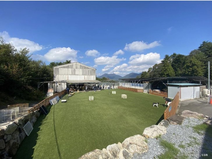 ☘️第1犬舎の人工芝ドッグラン☘️｜川辺　進(かわべ　すすむ)ブリーダー(広島県・柴犬など・JKC/日本犬保存会/（社）全日本狩猟倶楽部/甲斐犬愛護会登録)の紹介写真1