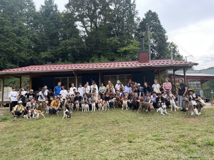 お迎え後も犬舎に遊びに来ていただけます✨オフ会やBBQなどのイベントも毎年開催しております‼️｜川辺　進(かわべ　すすむ)ブリーダー(広島県・柴犬など・JKC/日本犬保存会/（社）全日本狩猟倶楽部/甲斐犬愛護会登録)の紹介写真4
