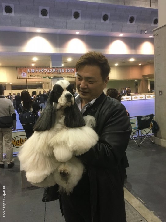 岸田直幸ブリーダー