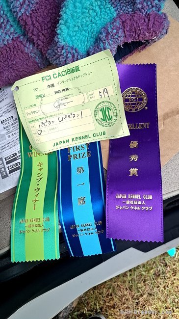 宮内美里ブリーダーのブログ：FCI中国インターナショナルドックショー